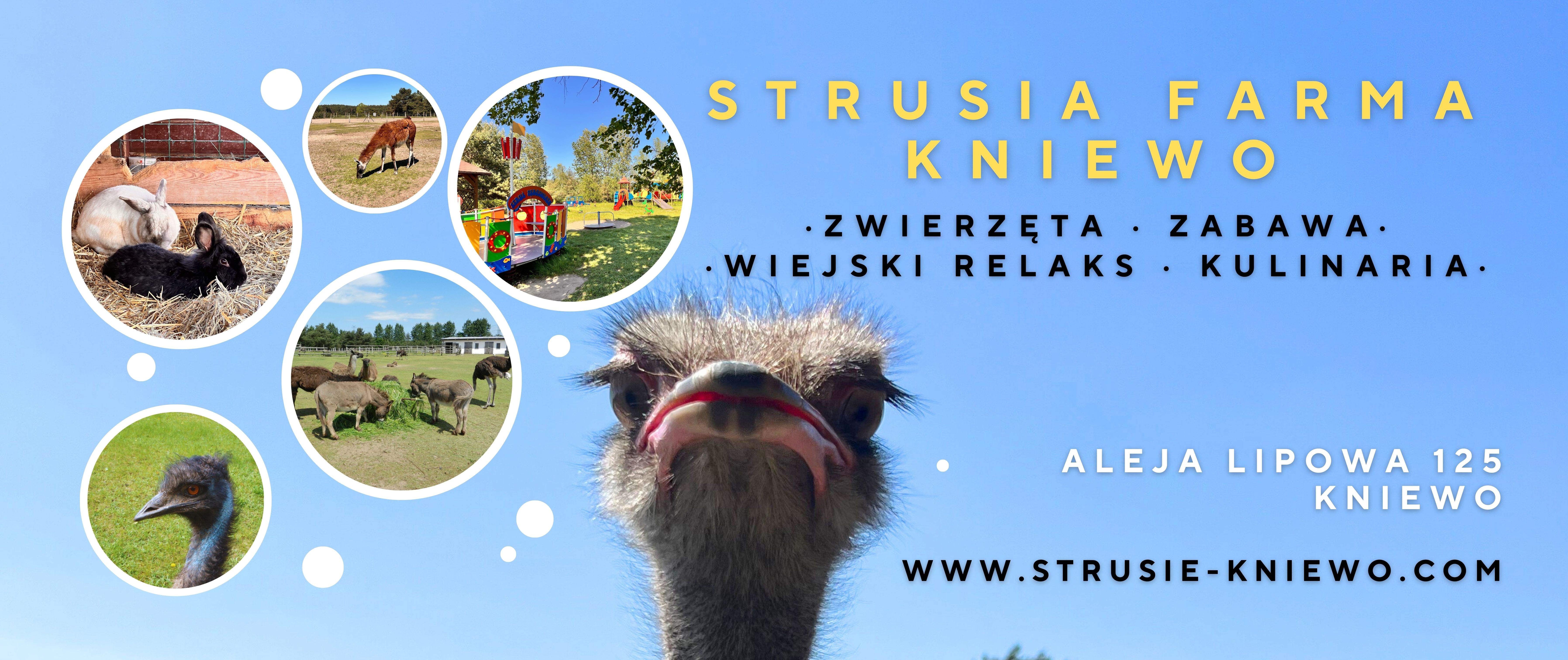 Strusia Farma Kniewo